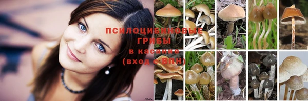 хмурый Алзамай