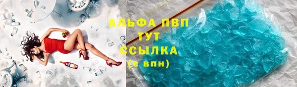 хмурый Алзамай
