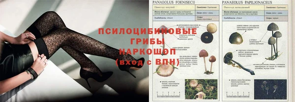хмурый Алзамай