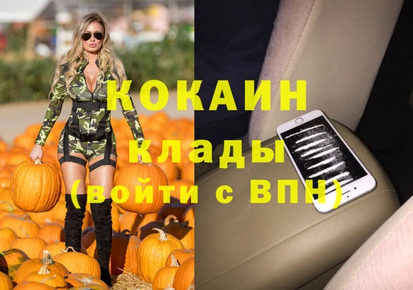 хмурый Алзамай