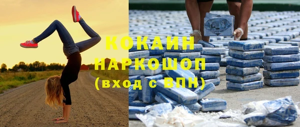 амф Алексин