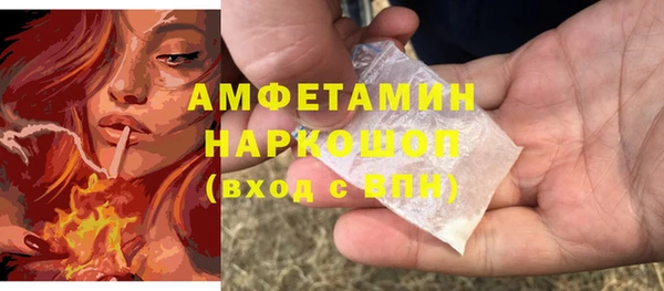 амф Алексин