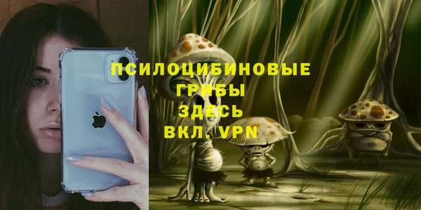 индика Алексеевка